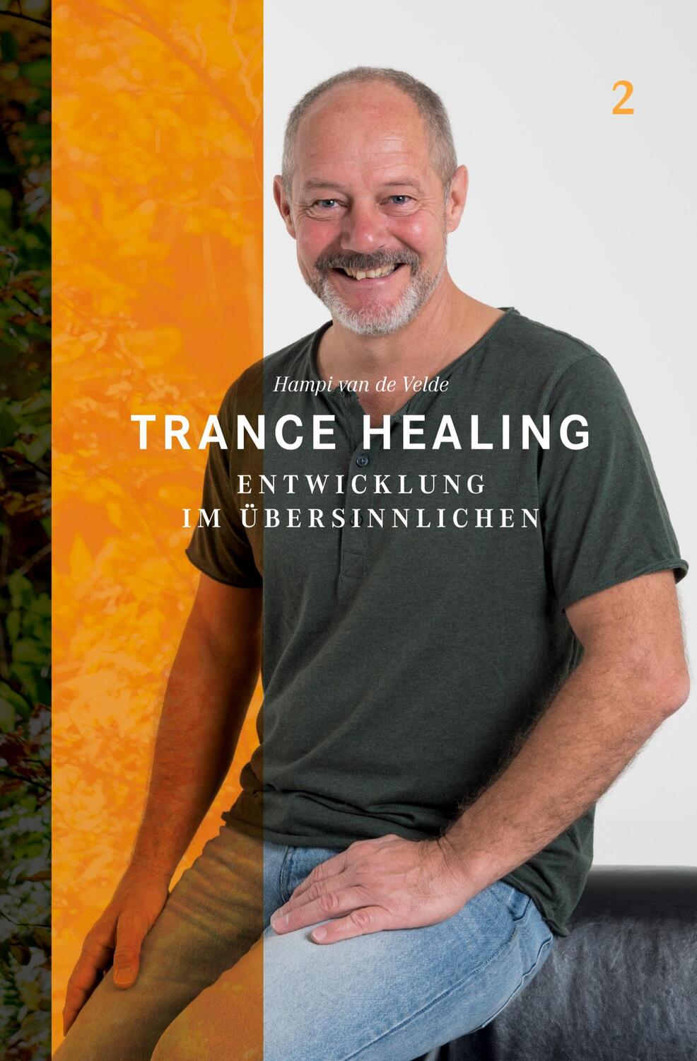 Cover: 9783907195055 | Trance Healing. Bd.2 | Entwicklung im Übersinnlichen | Velde | Buch