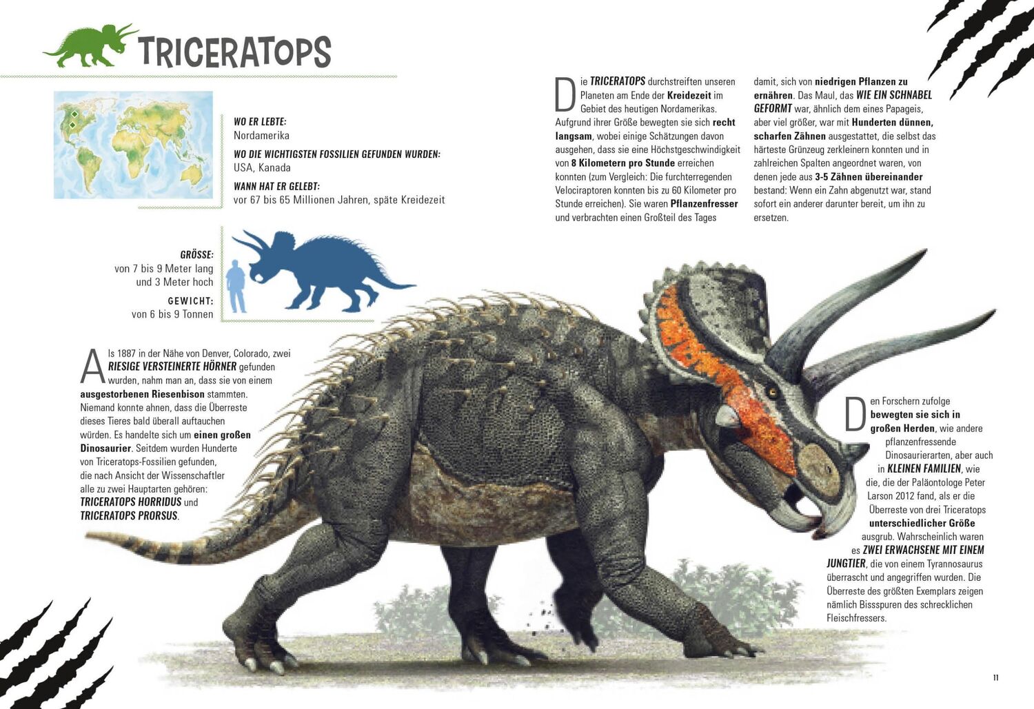 Bild: 9788863125382 | Gepanzerte Dinosaurier | National Geographic Kids | Tper | Buch | 2022