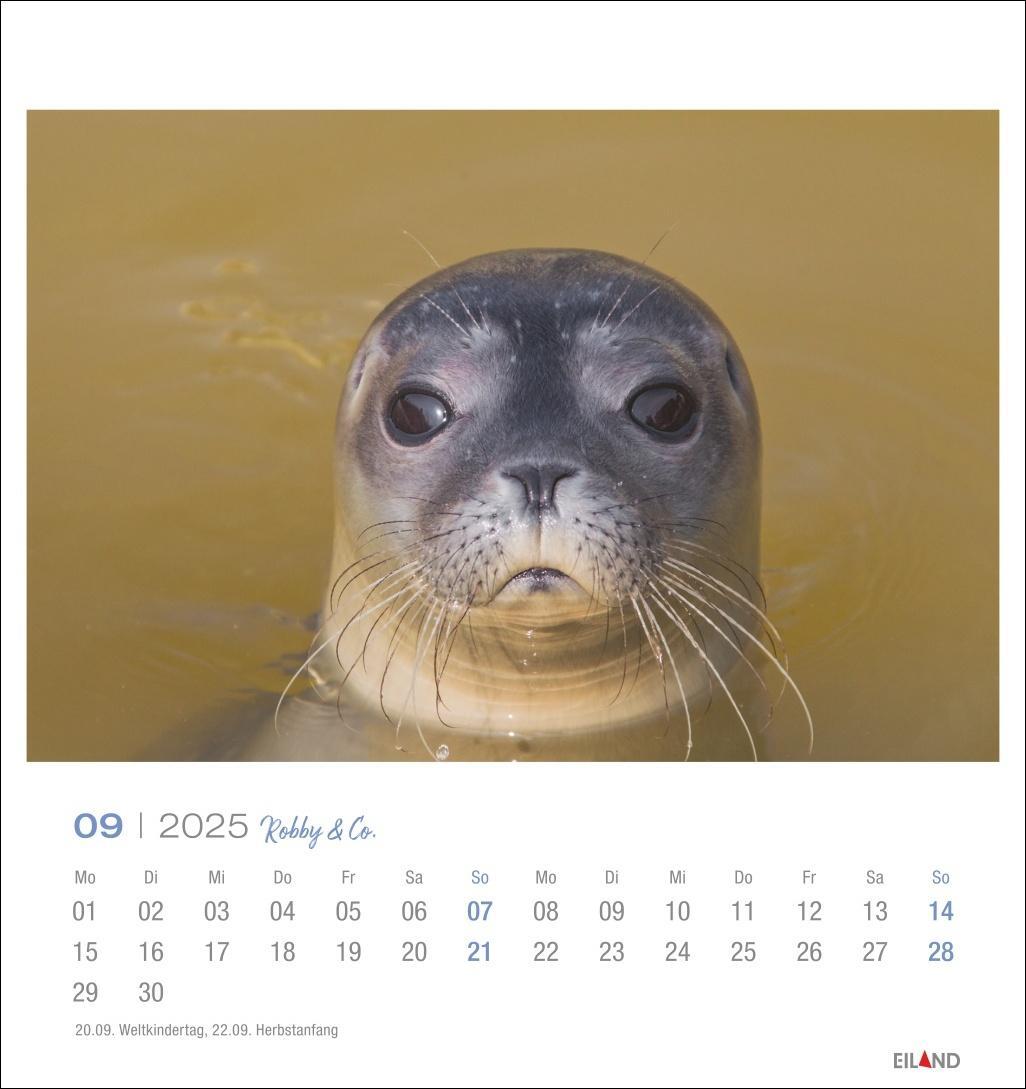 Bild: 9783964023322 | Robby &amp; Co. Postkartenkalender 2025 | Kalender | Spiralbindung | 13 S.