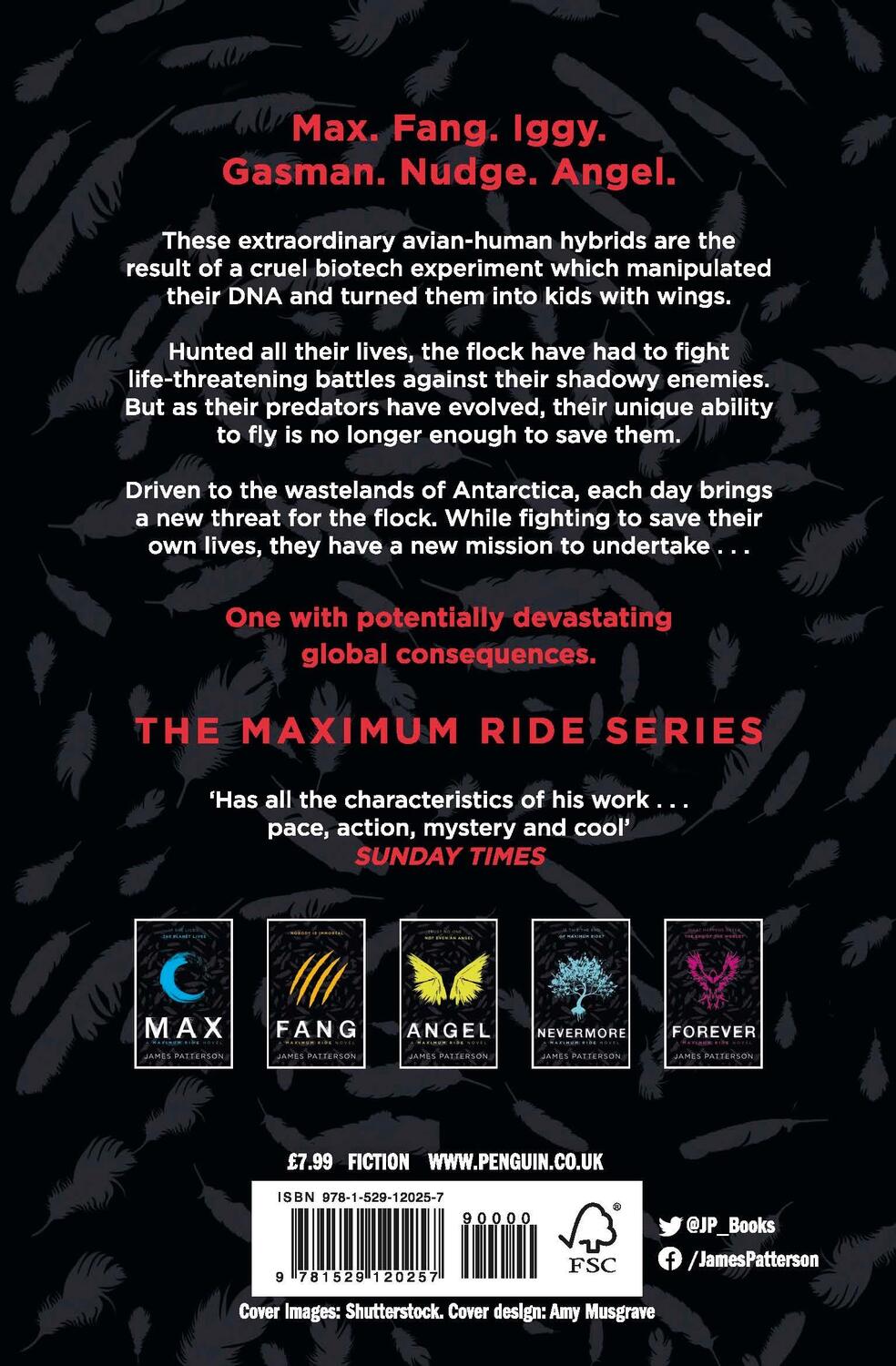 Rückseite: 9781529120257 | The Final Warning: A Maximum Ride Novel | (Maximum Ride 4) | Patterson