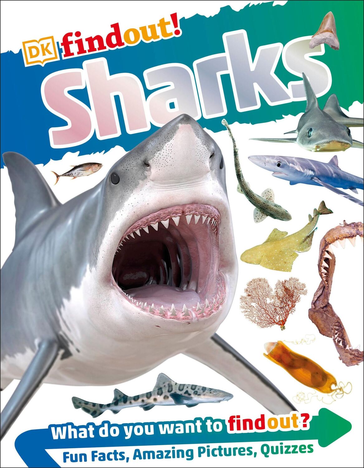 Cover: 9780241282731 | DKfindout! Sharks | Dk | Taschenbuch | 64 S. | Englisch | 2017