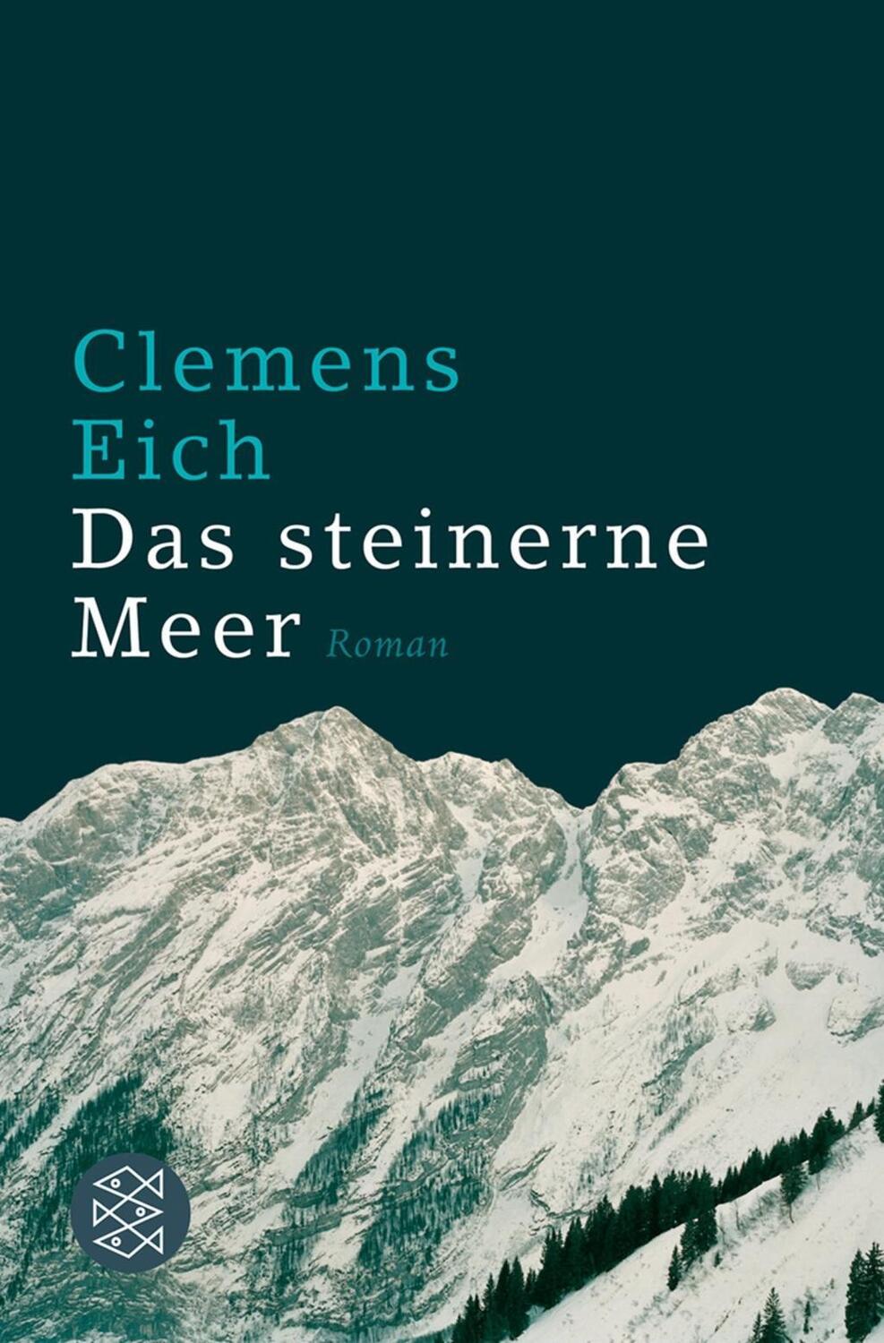 Cover: 9783596179114 | Das steinerne Meer | Roman | Clemens Eich | Taschenbuch | 336 S.