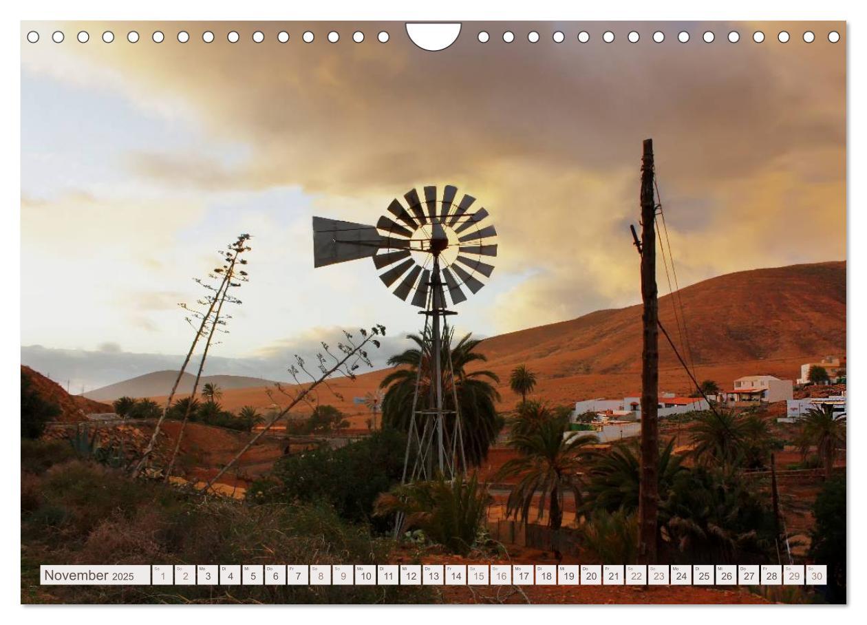 Bild: 9783435814961 | Fuerteventura (Wandkalender 2025 DIN A4 quer), CALVENDO Monatskalender