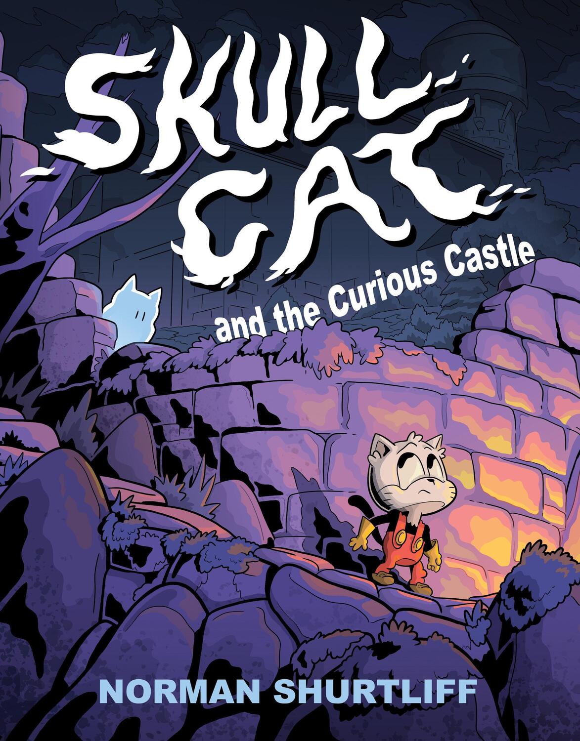 Cover: 9781603095198 | Skull Cat (Book One): Skull Cat and the Curious Castle | Shurtliff