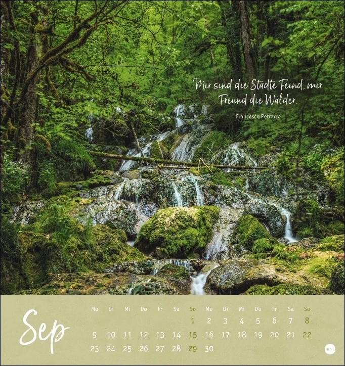 Bild: 9783756403073 | Unser Wald Postkartenkalender 2024. Beeindruckende Detailfotos in...