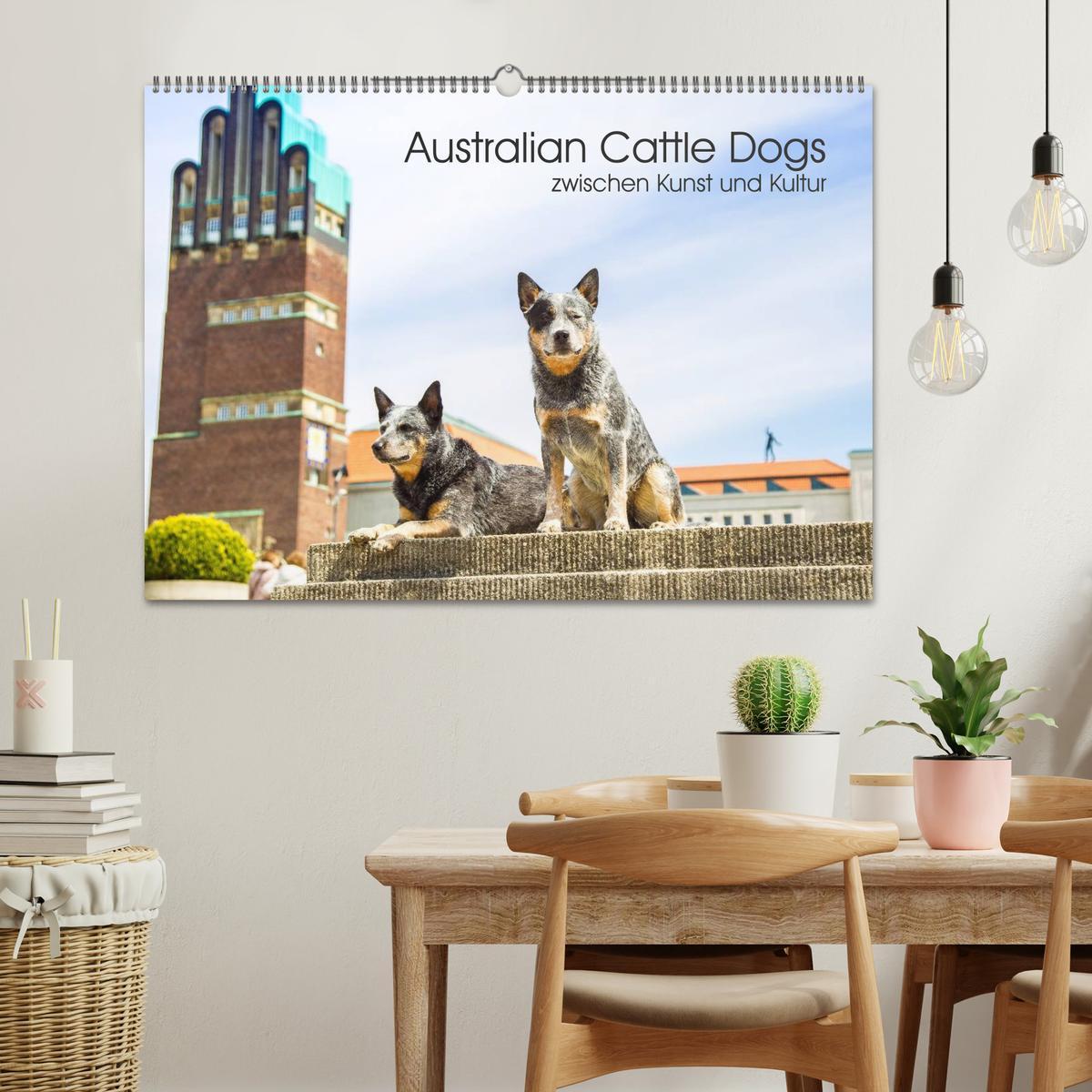 Bild: 9783435462902 | Australian Cattle Dogs zwischen Kunst und Kultur (Wandkalender 2025...