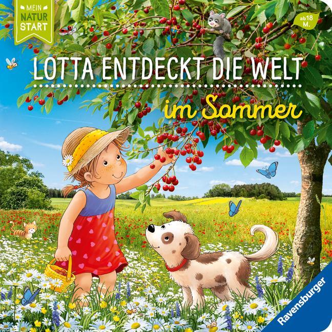 Cover: 9783473418886 | Entdecke den Sommer mit Lotta | Sandra Grimm | Buch | Naturstart