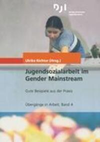 Cover: 9783879664085 | Jugendsozialarbeit im Gender Mainstream | Taschenbuch | 340 S. | 2004