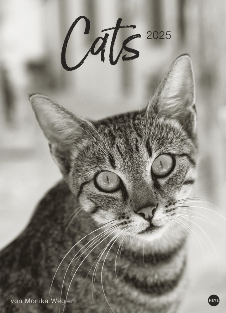 Cover: 9783756404650 | Cats Edition Kalender 2025 | Monika Wegler | Kalender | Spiralbindung