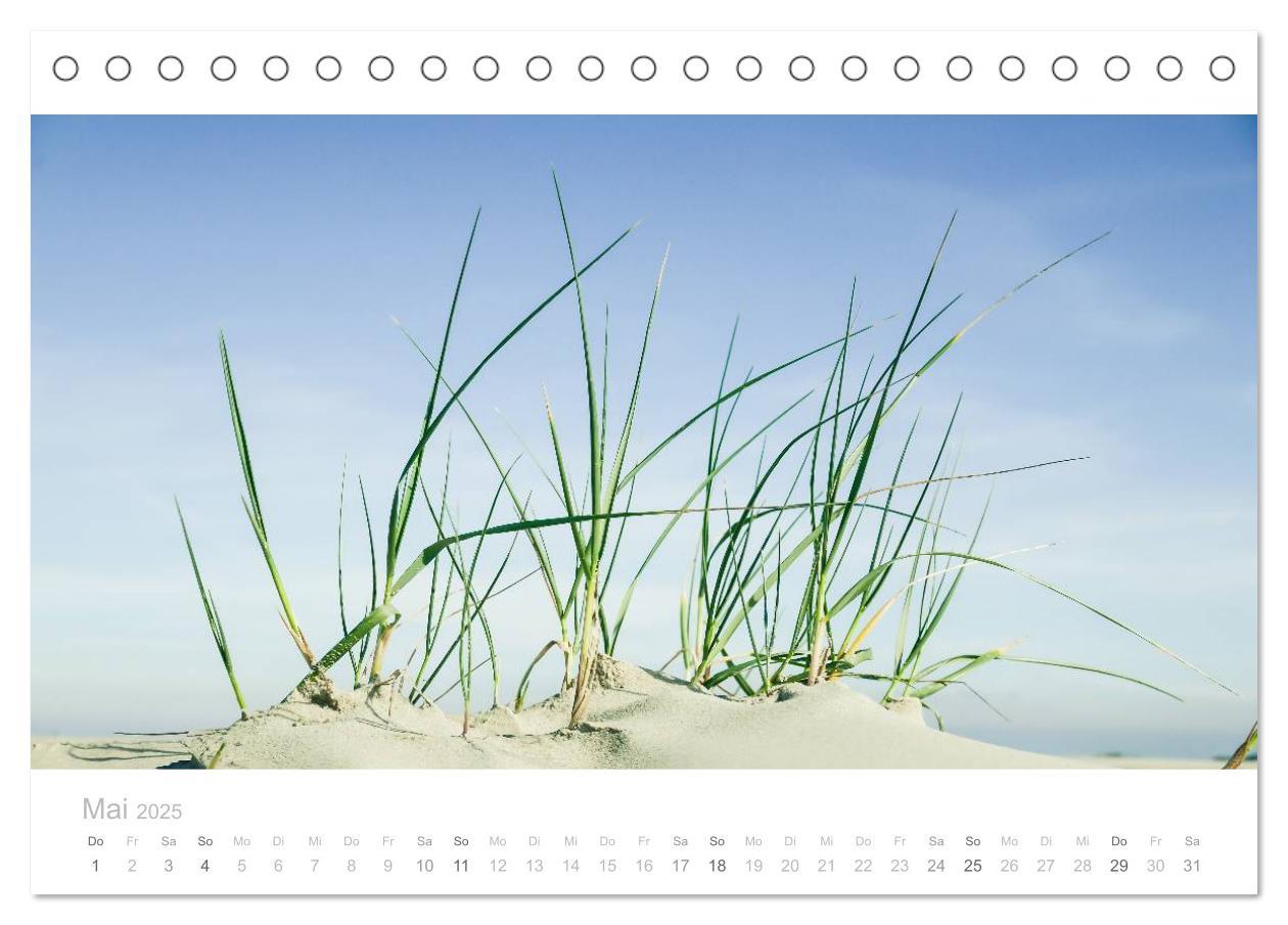 Bild: 9783435540341 | Einfach Borkum (Tischkalender 2025 DIN A5 quer), CALVENDO...