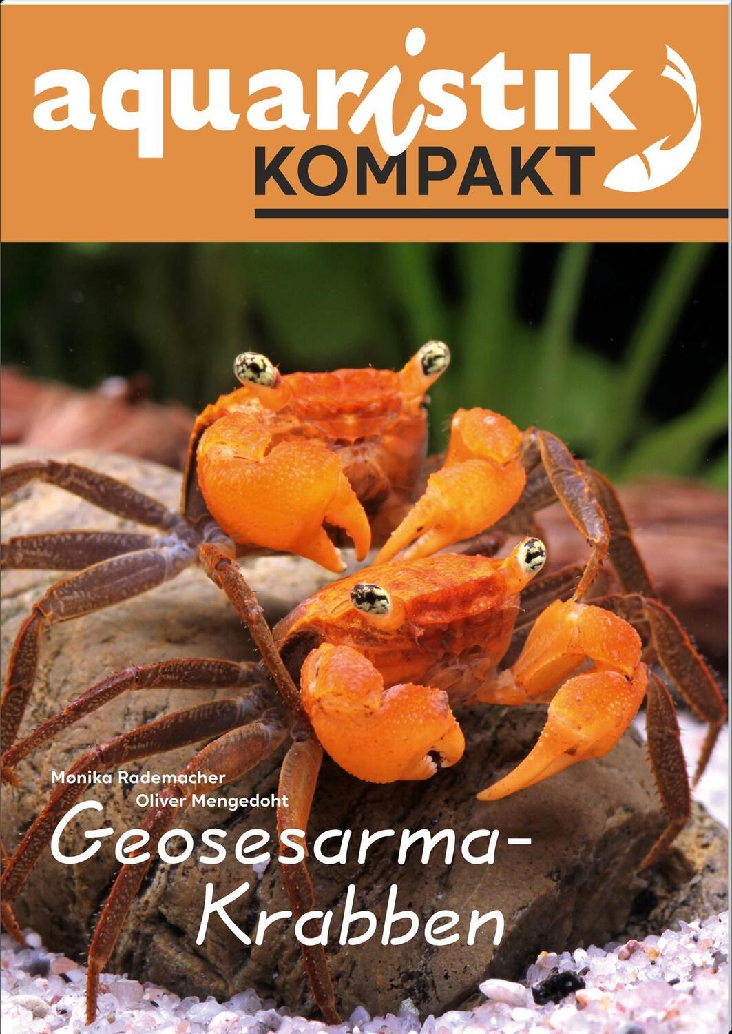 Cover: 9783911226066 | Geosesarma-Krabben - aquaristik KOMPAKT | Monika Rademacher (u. a.)