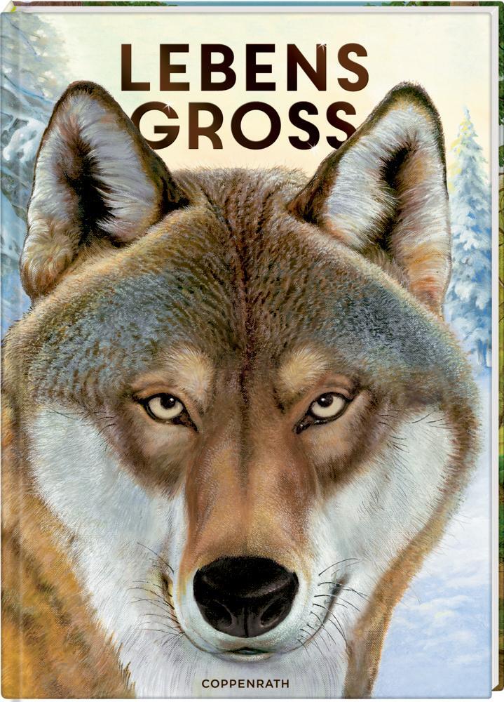 Cover: 9783649630685 | Lebensgroß | Tiere des Waldes | Holger Haag | Buch | Nature Zoom