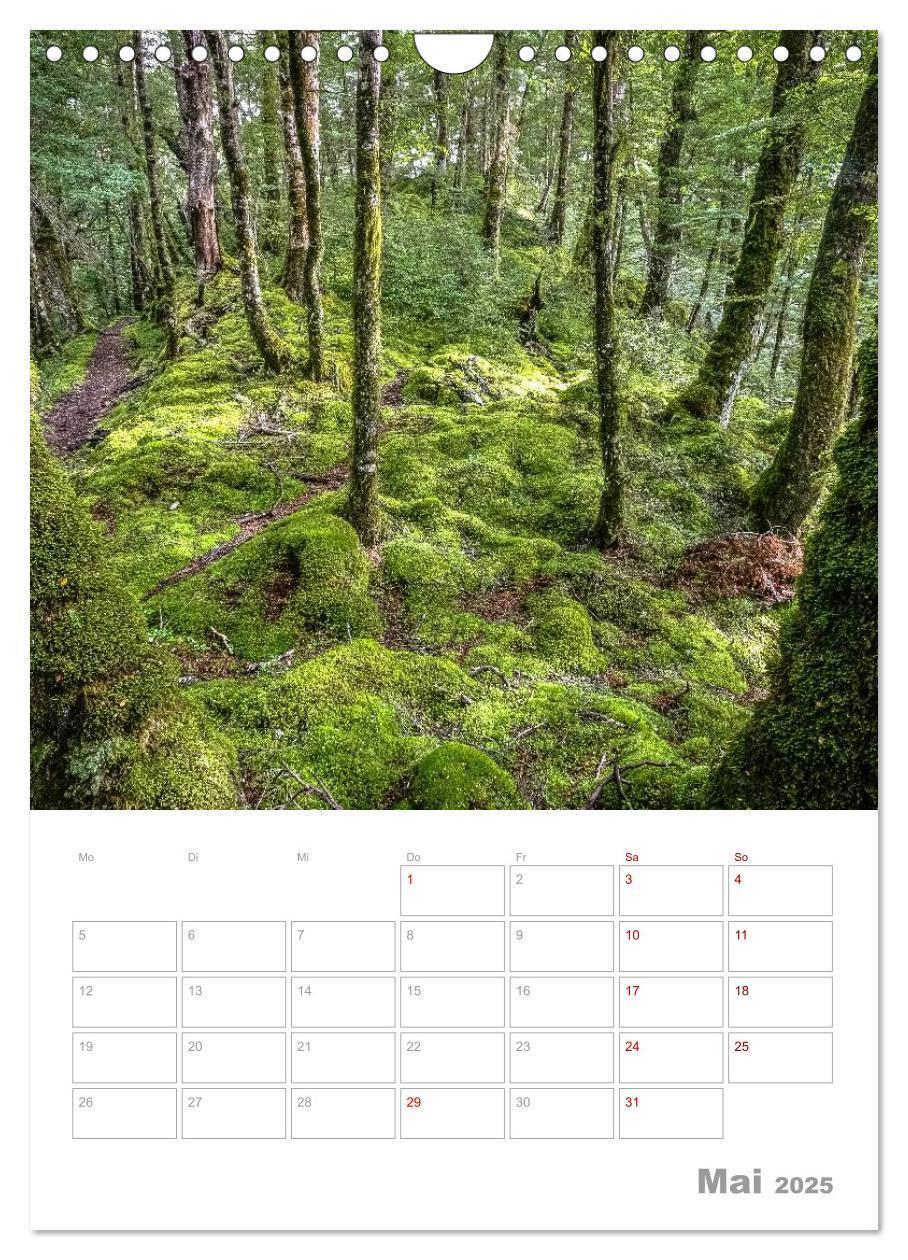 Bild: 9783435994250 | Kalenderplaner g'day Neuseeland 2025 (Wandkalender 2025 DIN A4...