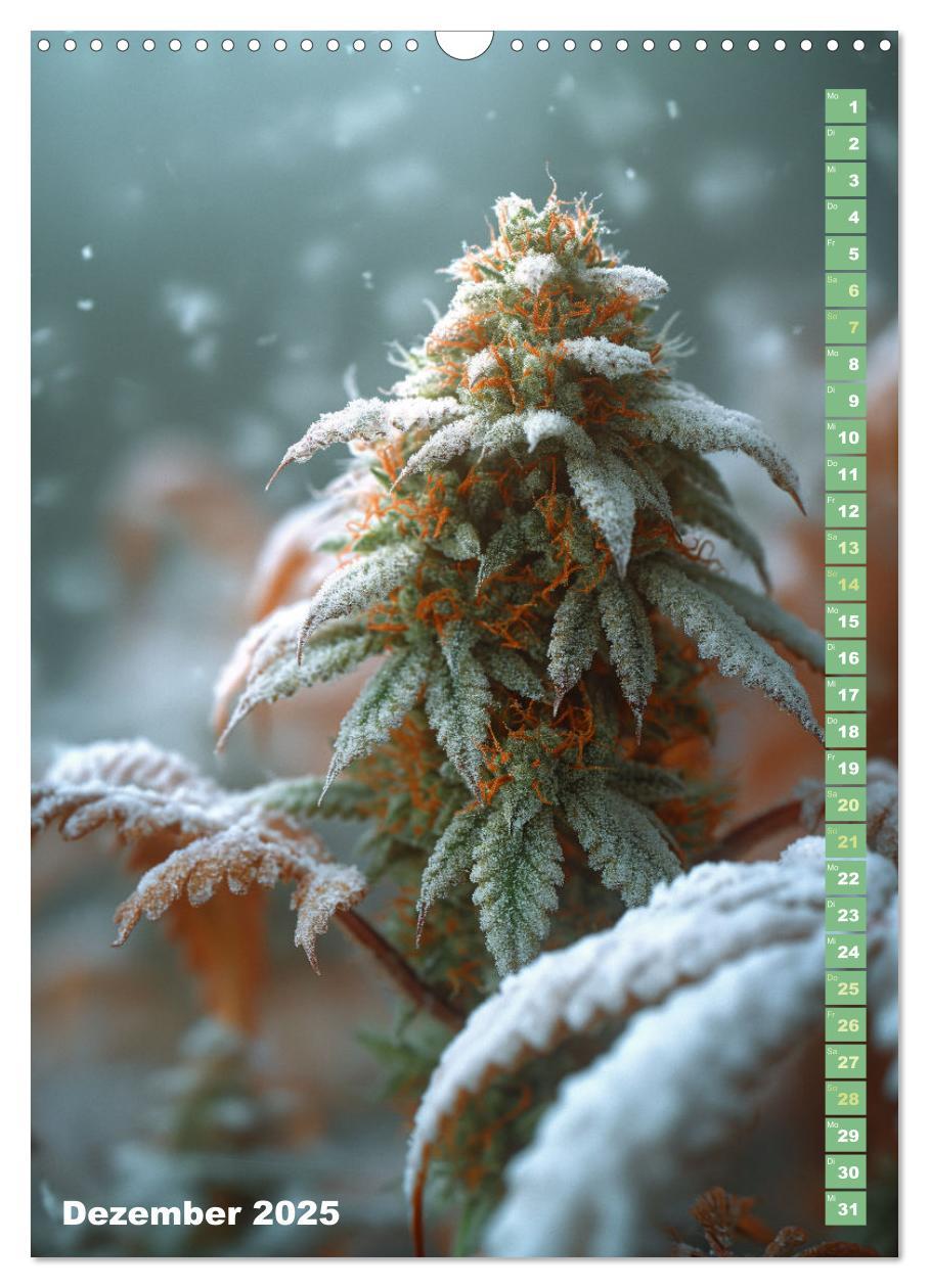 Bild: 9783383764721 | Rauschende Aussichten - Der ultimative Cannabis-Kalender...