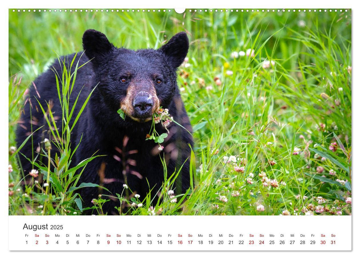 Bild: 9783383925924 | British Columbia - Faszination Kanada (Wandkalender 2025 DIN A2...