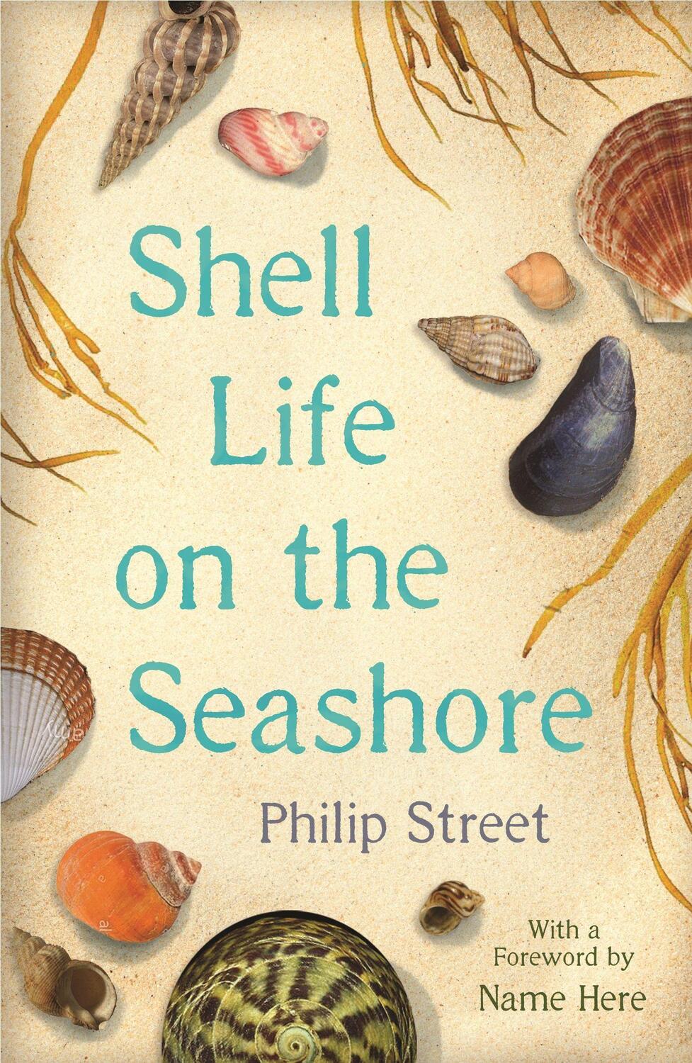 Cover: 9780571354450 | Shell Life on the Seashore | Philip Street | Taschenbuch | Englisch