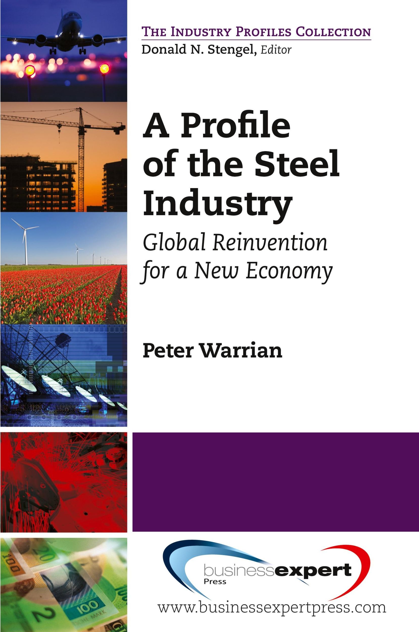 Cover: 9781606494172 | A Profile of the Steel Industry | Global Reinvention for a New Economy