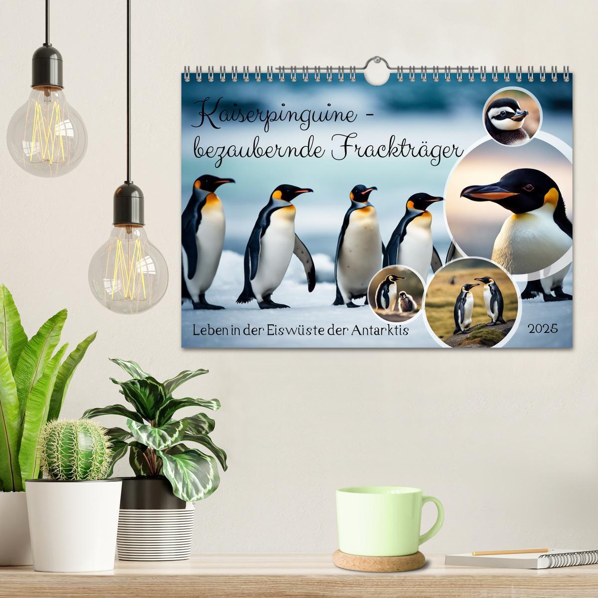 Bild: 9783383822766 | Kaiserpinguine - bezaubernde Frackträger (Wandkalender 2025 DIN A4...