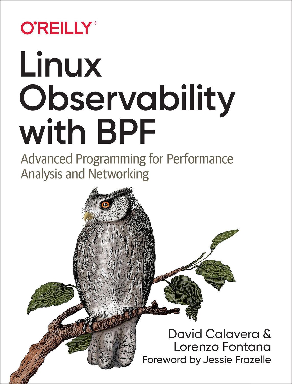 Cover: 9781492050209 | Linux Observability with Bpf: Advanced Programming for Performance...