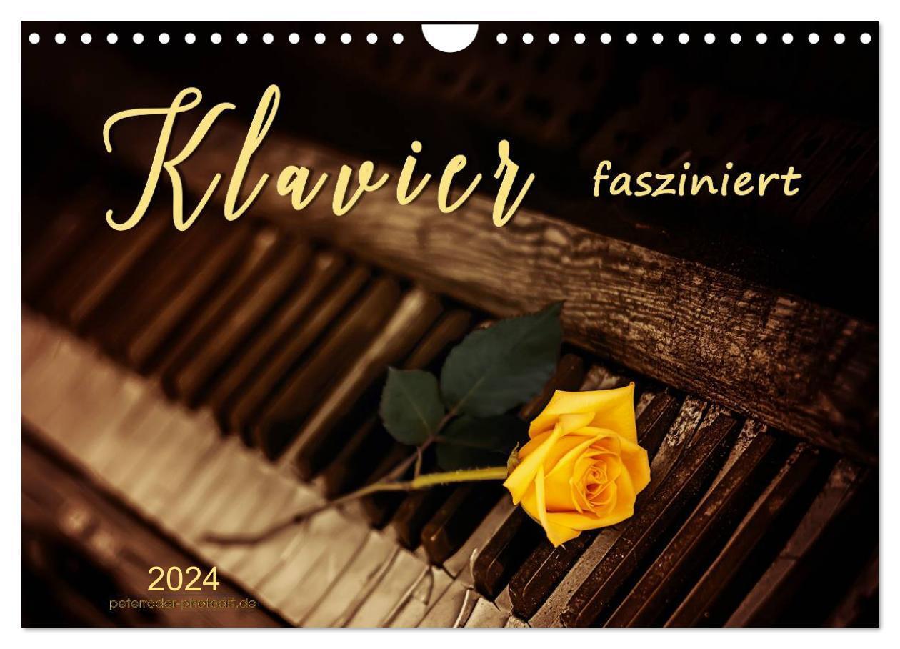 Cover: 9783675577299 | Klavier fasziniert (Wandkalender 2024 DIN A4 quer), CALVENDO...