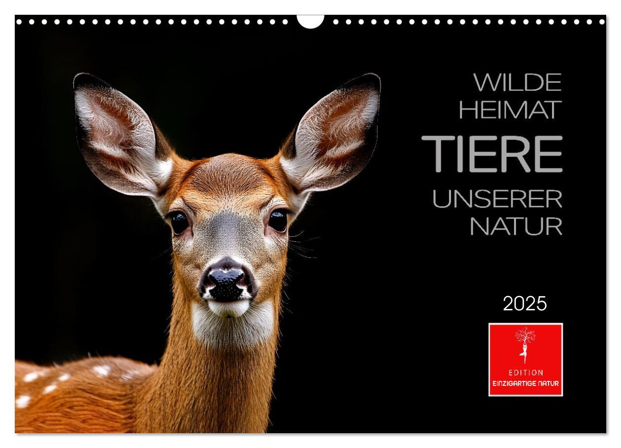 Cover: 9783457223253 | Wilde Heimat - Tiere unserer Natur (Wandkalender 2025 DIN A3 quer),...