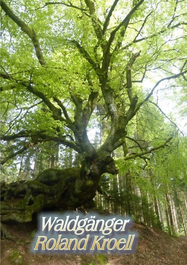 Cover: 9783750286559 | Waldgänge | Kurzgeschichten aus dem Wald | Roland Kroell | Taschenbuch