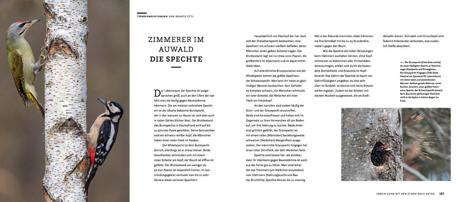Bild: 9783957284457 | Wilde Isar | Karl Seidl (u. a.) | Buch | Deutsch | 2020 | Knesebeck