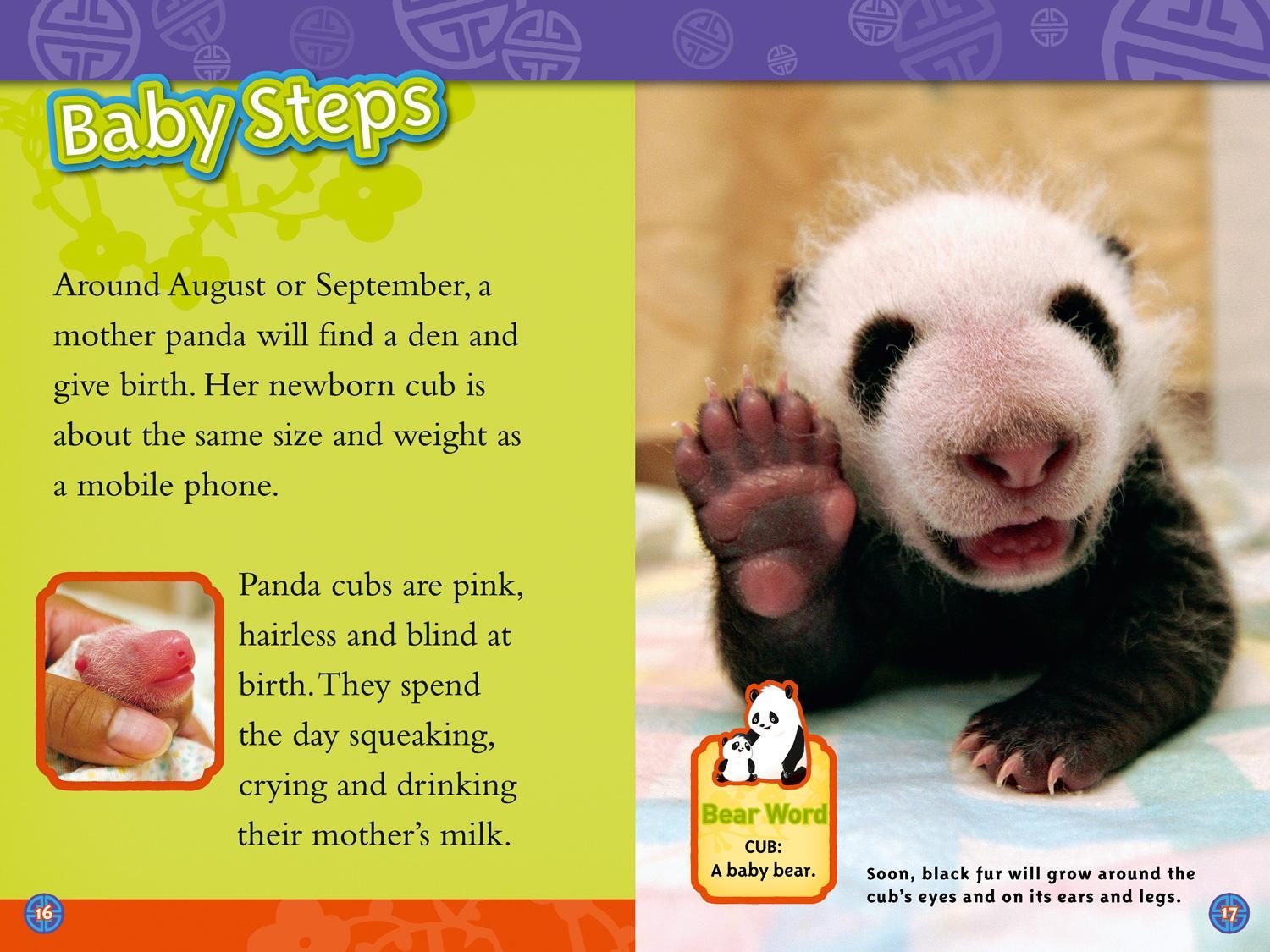 Bild: 9780008266752 | Pandas | Level 3 | Anne Schreiber (u. a.) | Taschenbuch | Englisch