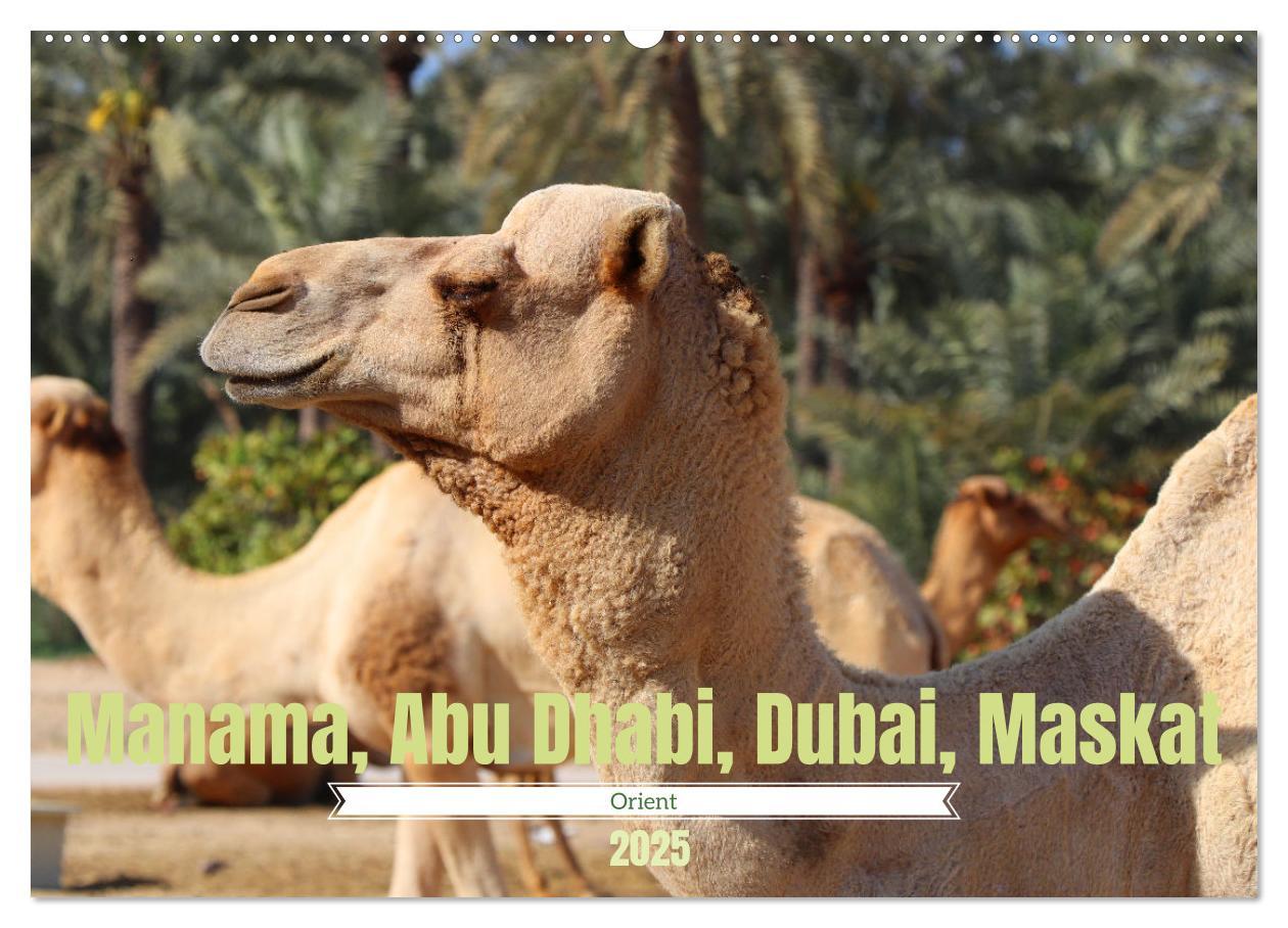 Cover: 9783435073924 | Orient - Manama, Abu Dhabi, Dubai, Maskat (Wandkalender 2025 DIN A2...