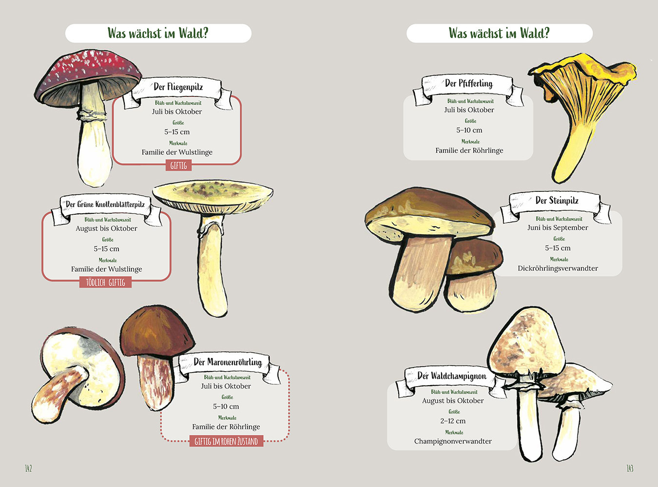 Bild: 9783831734498 | Reise Know-How Wald-Tagebuch | Gunda Urban-Rump (u. a.) | Taschenbuch