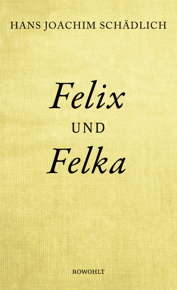 Cover: 9783498064372 | Felix und Felka | Hans Joachim Schädlich | Buch | 208 S. | Deutsch