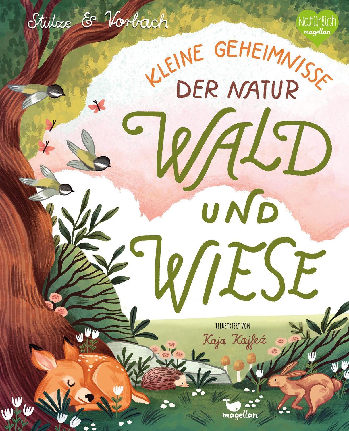 Cover: 9783734860263 | Kleine Geheimnisse der Natur - Wald und Wiese | Annett Stütze (u. a.)