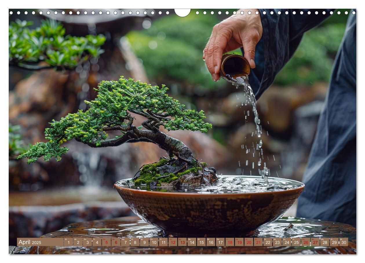 Bild: 9783383822254 | Bonsai meditativ (Wandkalender 2025 DIN A3 quer), CALVENDO...