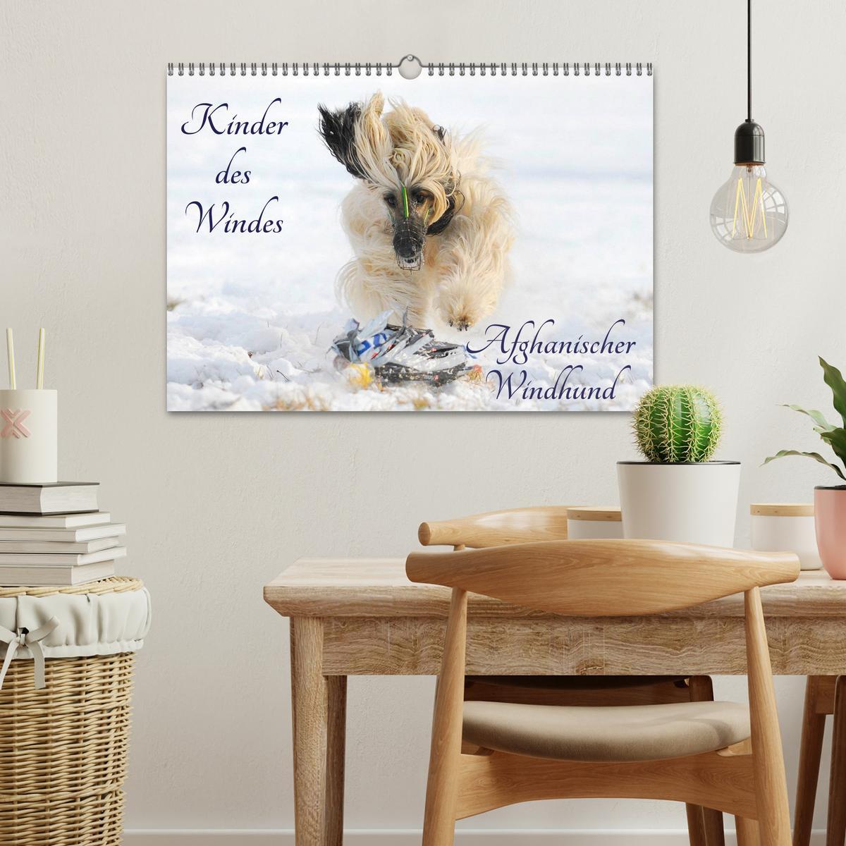 Bild: 9783435569502 | Kinder des Windes - Afghanischer Windhund (Wandkalender 2025 DIN A3...