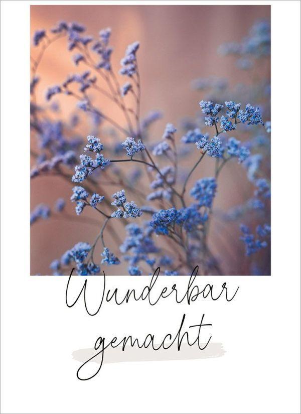 Bild: 4029856840840 | Wunderbar gemacht - Postkartenset | Stück | Edition Eberhard Münch