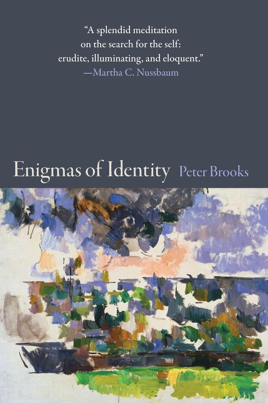 Cover: 9780691159539 | Enigmas of Identity | Peter Brooks | Taschenbuch | Paperback | 2013