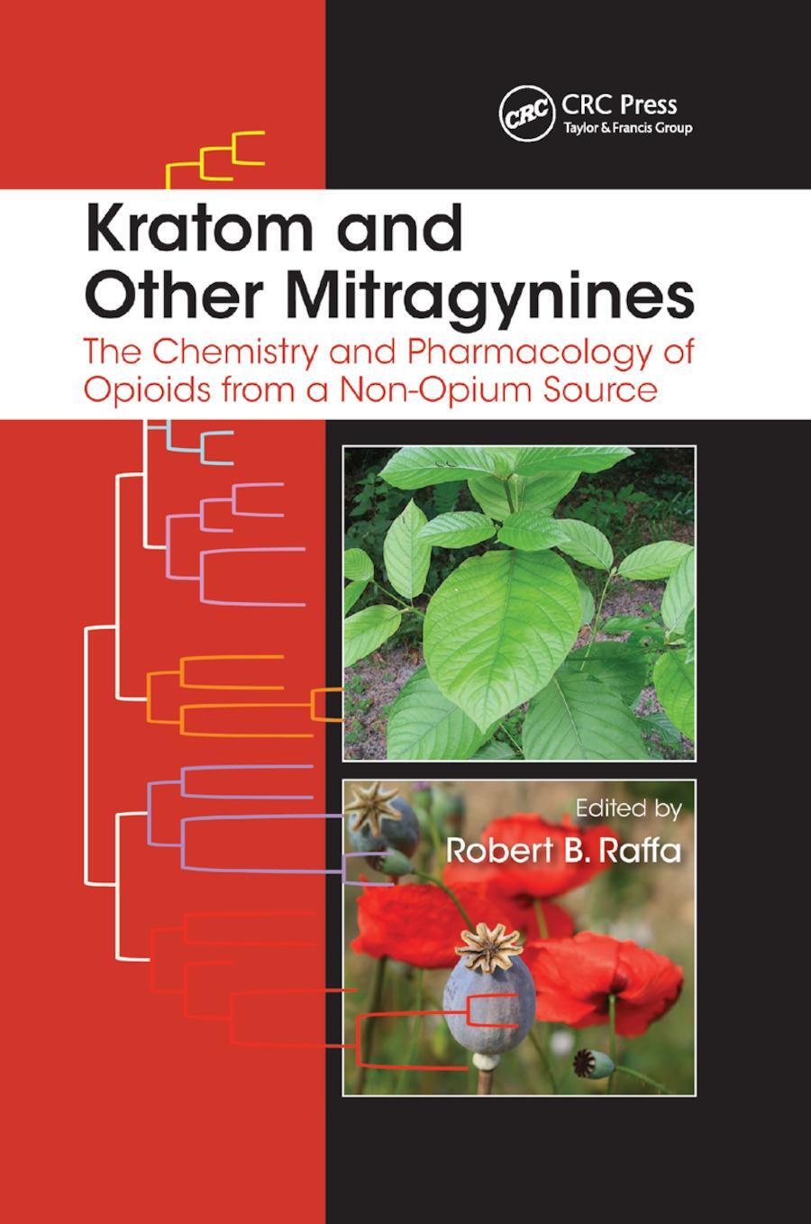 Cover: 9780367869243 | Kratom and Other Mitragynines | Robert B Raffa | Taschenbuch | 2019