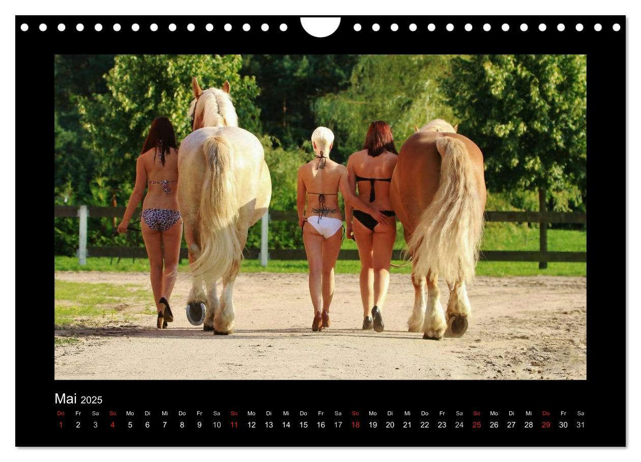 Bild: 9783435751280 | Sexy Horse Girls 2025 - Heiße Girls und starke Kaltblutpferde!...