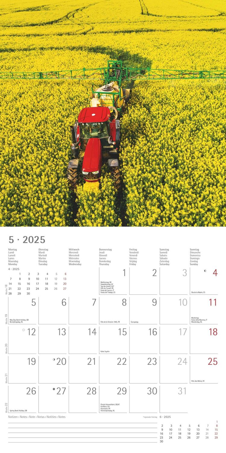 Bild: 4251732340964 | Traktoren 2025 - Broschürenkalender 30x30 cm (30x60 geöffnet) -...