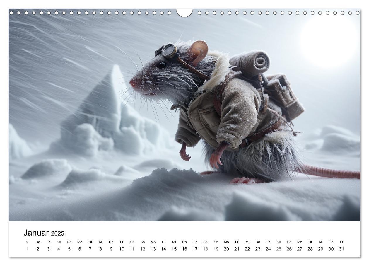 Bild: 9783383768637 | Abenteuerliche Ratten (Wandkalender 2025 DIN A3 quer), CALVENDO...