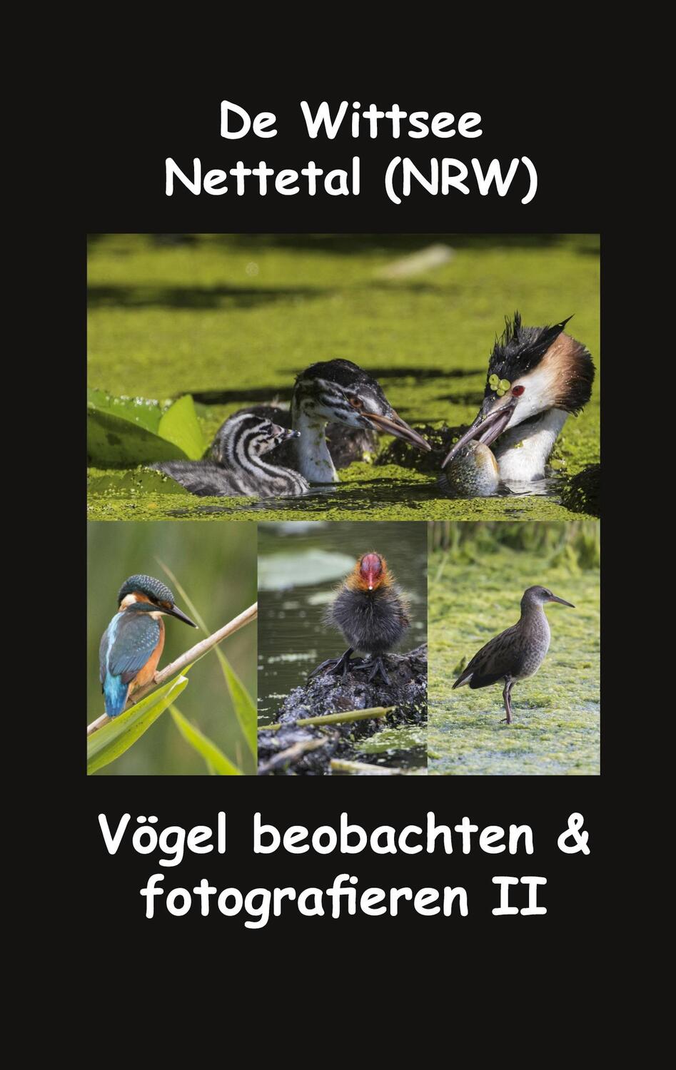 Cover: 9783751976459 | De Wittsee - Nettetal (NRW) | Vögel beobachten & fotografieren II