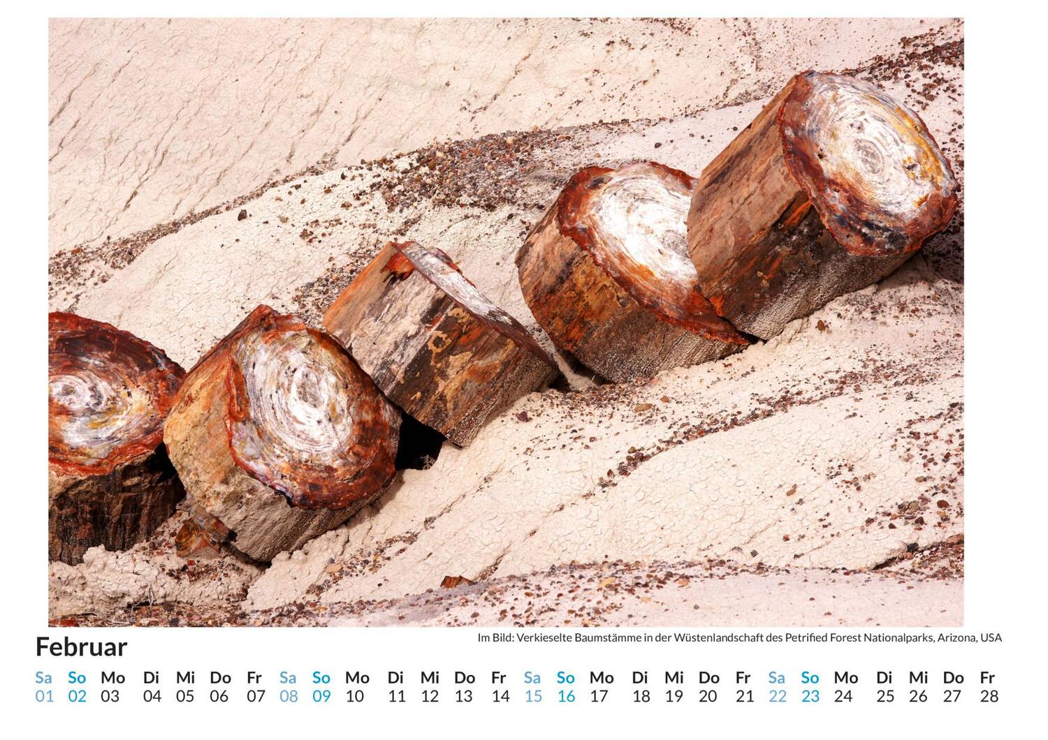 Bild: 9783759122575 | Fossilien - (Wandkalender 2025, Kalender DIN A4 quer,...