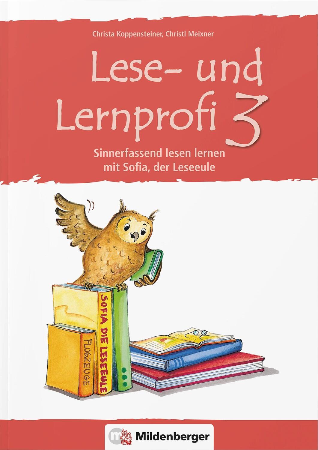 Cover: 9783619346202 | Lese- und Lernprofi 3. Schülerarbeitsheft | Koppensteiner (u. a.)