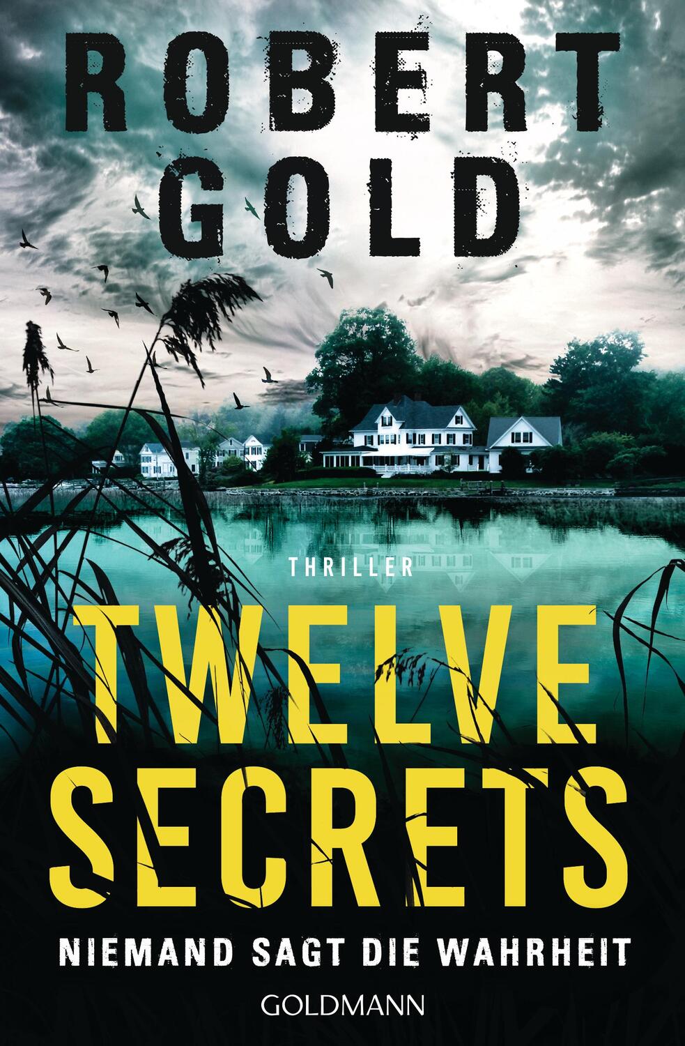 Cover: 9783442494385 | Twelve Secrets - | Niemand sagt die Wahrheit - Thriller | Robert Gold
