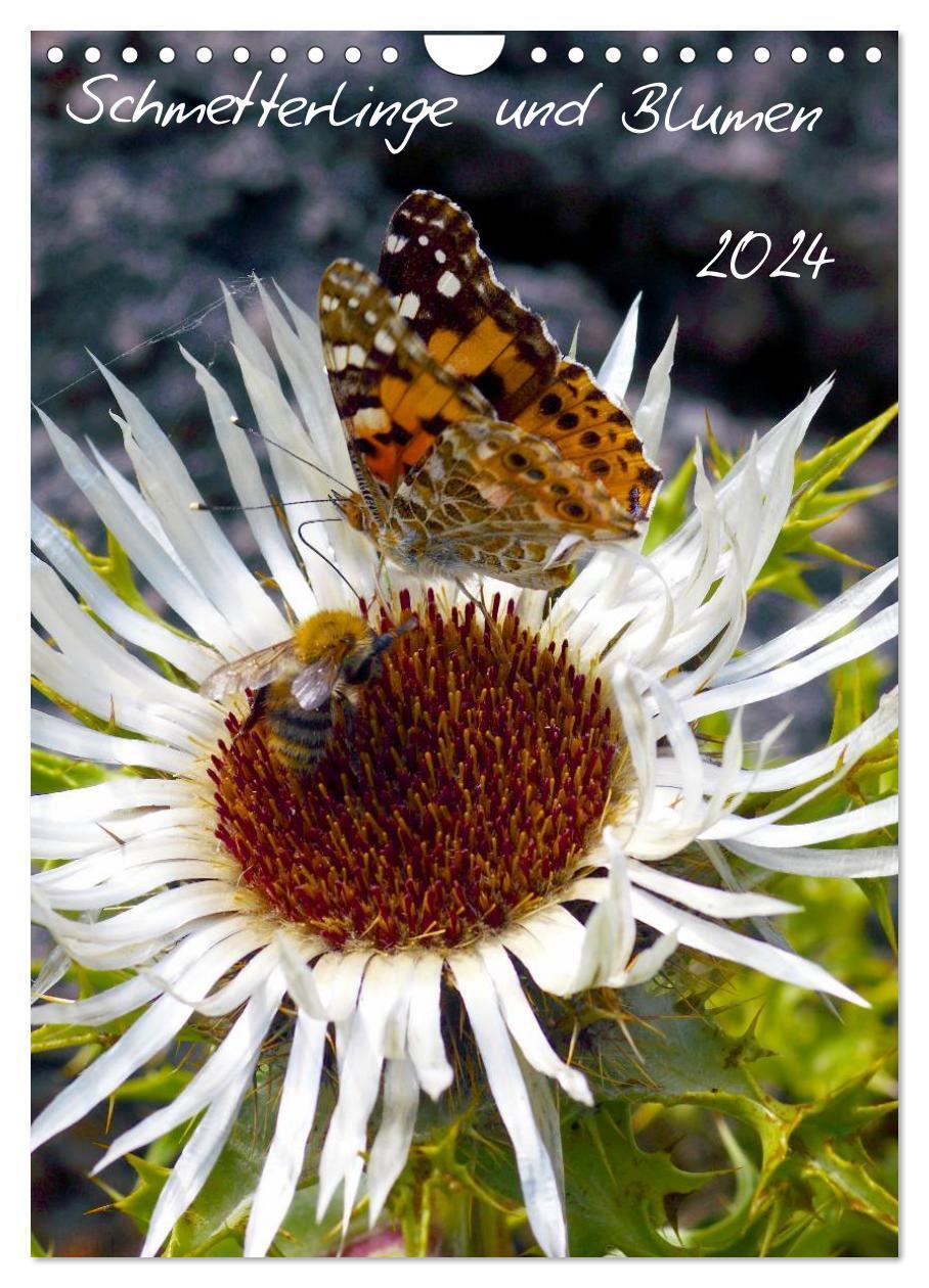 Cover: 9783383596094 | Schmetterlilnge und Blumen (Wandkalender 2024 DIN A4 hoch),...