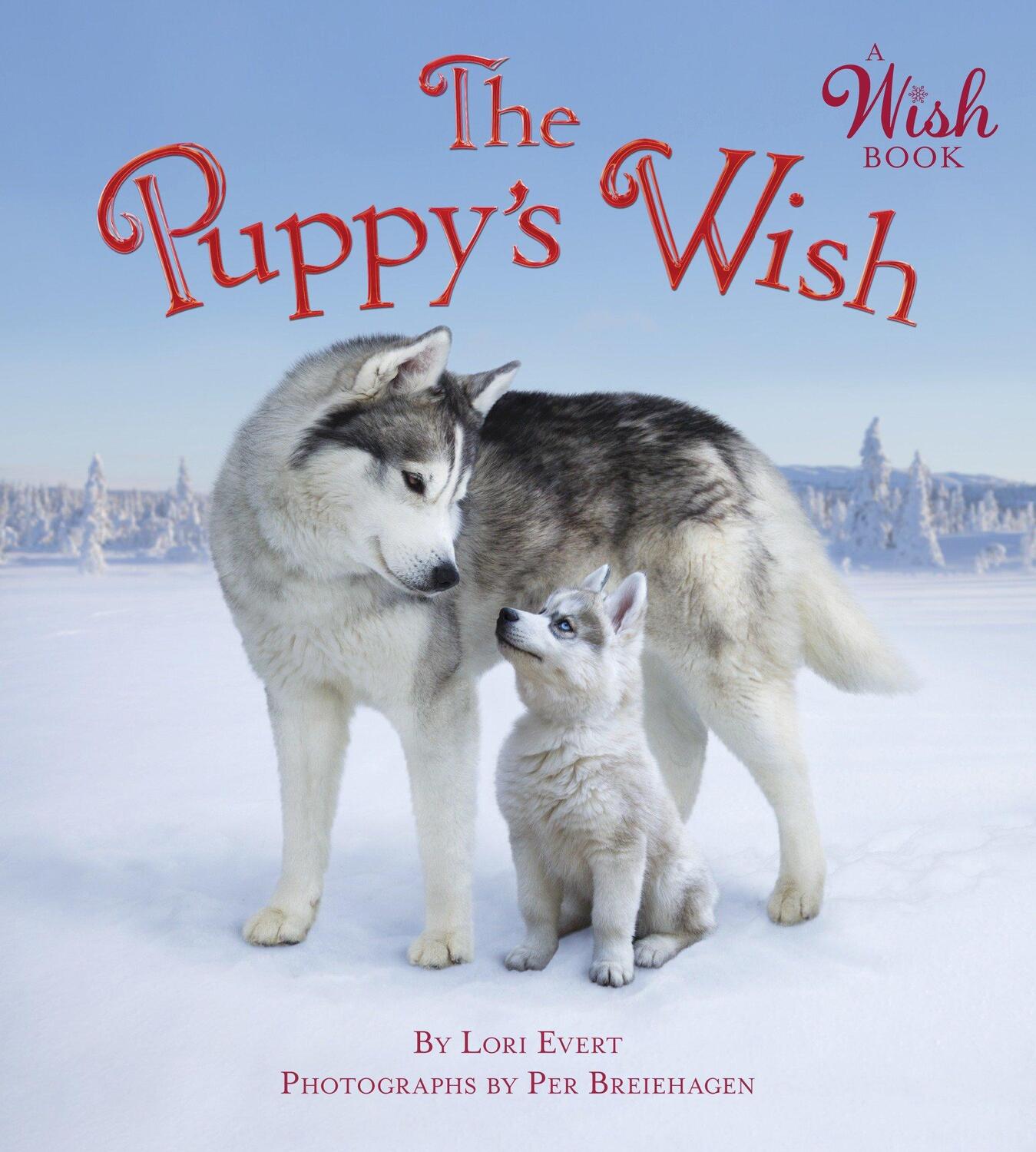 Cover: 9780399550546 | The Puppy's Wish | Lori Evert | A Wish Book | Kinder-Pappbuch | 2017