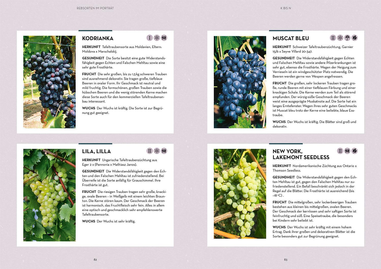 Bild: 9783440178553 | Wein im Garten anbauen &amp; ernten | Angelika Schartl | Taschenbuch