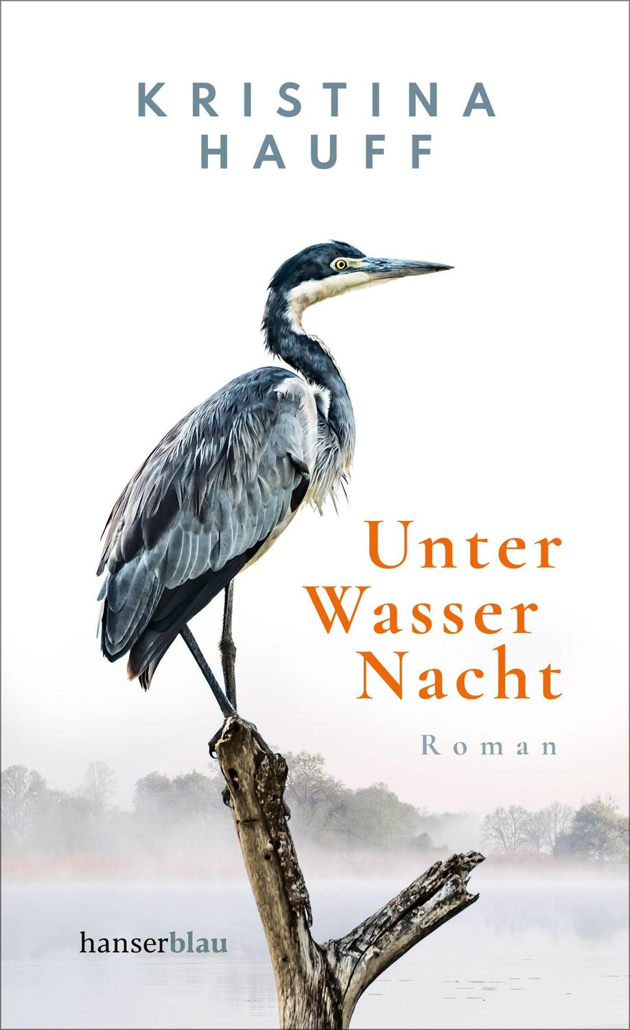Cover: 9783446269453 | Unter Wasser Nacht | Roman | Kristina Hauff | Buch | Deutsch | 2021