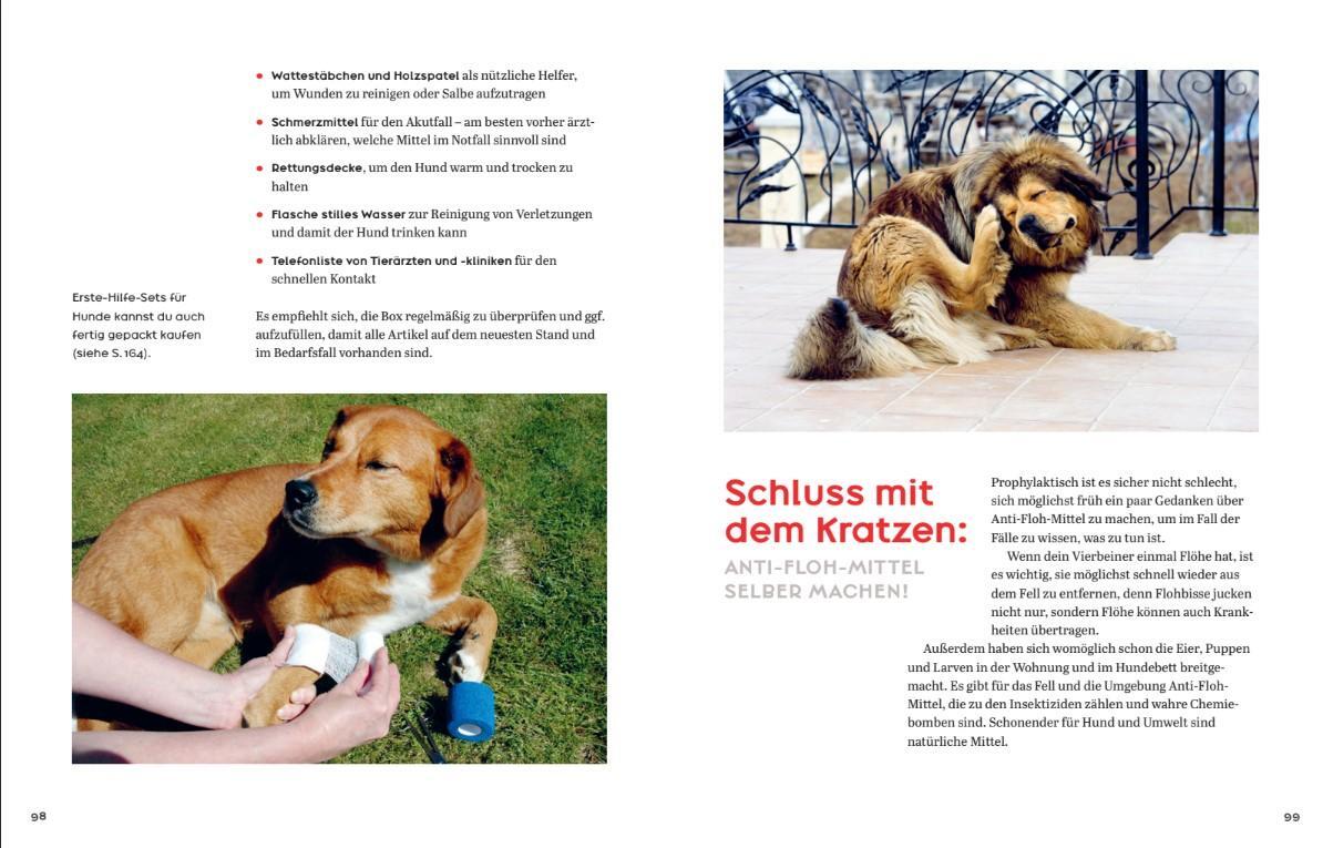 Bild: 9783946658870 | Oh Happy Dog! | smarticular Verlag | Buch | 176 S. | Deutsch | 2023