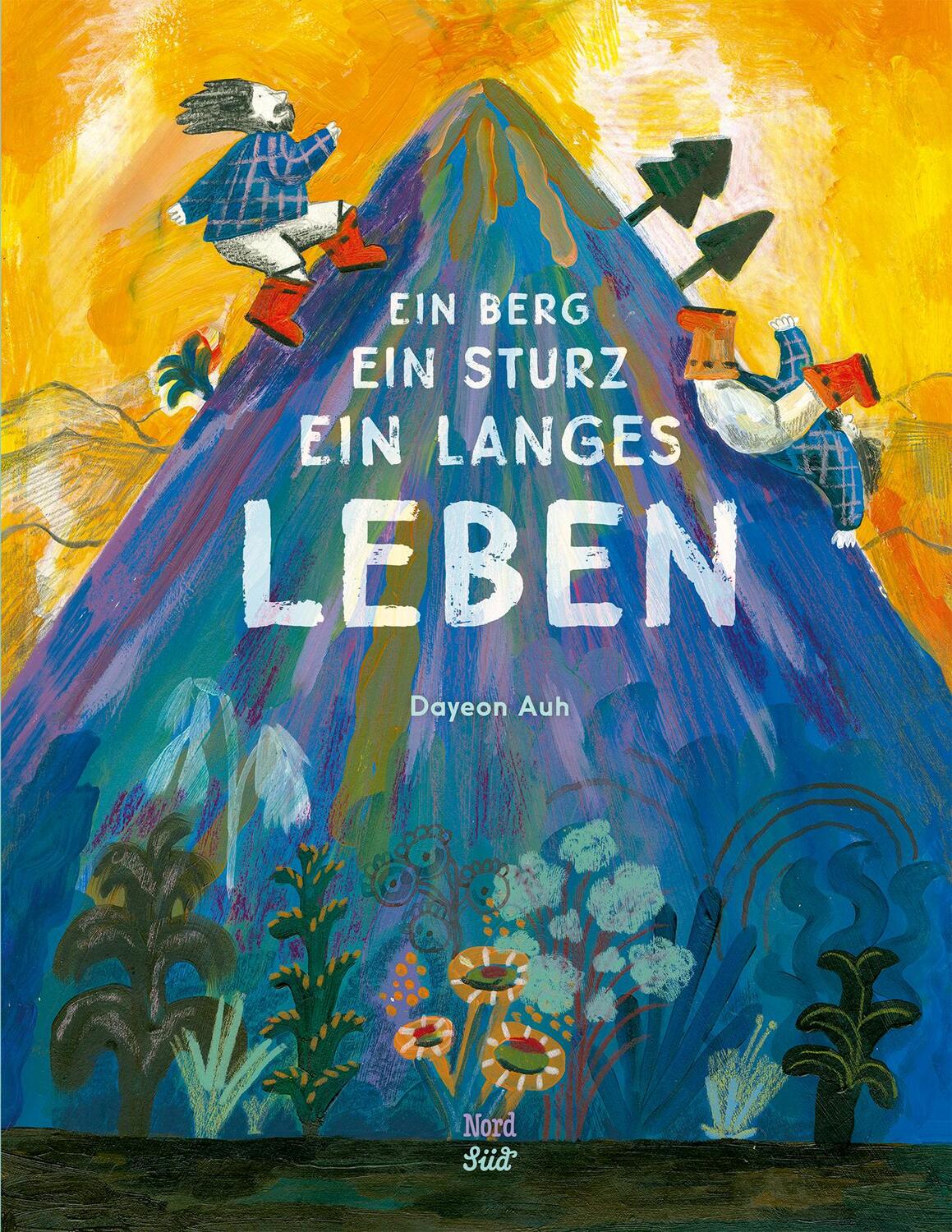 Cover: 9783314106835 | Ein Berg, ein Sturz, ein langes Leben | Dayeon Auh | Buch | 40 S.